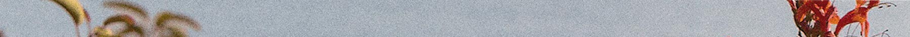 Extra 20% Off Clearance at Brooks Brothers