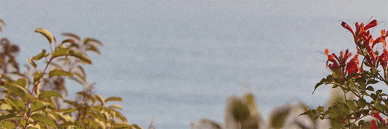 Extra 20% Off Clearance at Brooks Brothers