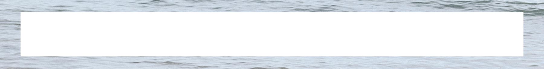 The Friends & Family Event at Brooks Brothers